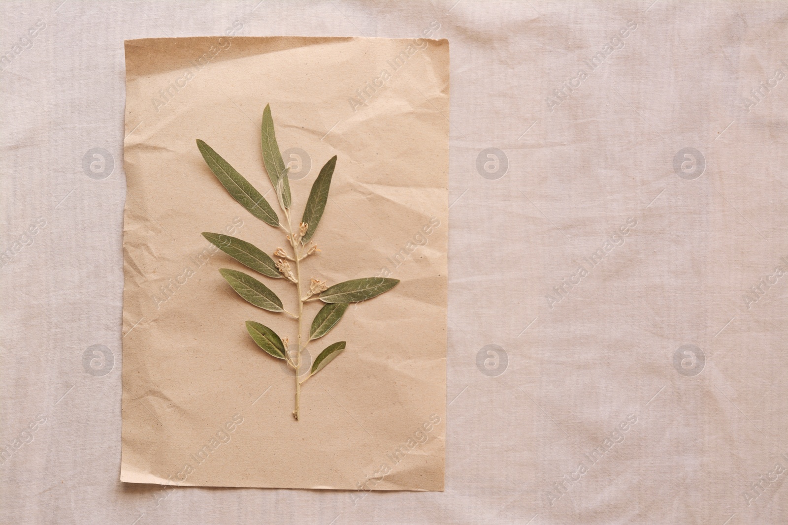 Photo of Sheet of paper with dried green leaves on white fabric, top view. Space for text