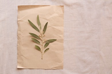 Photo of Sheet of paper with dried green leaves on white fabric, top view. Space for text