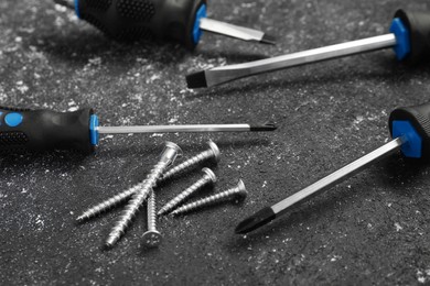Photo of Set of screwdrivers and screws on grey table, closeup