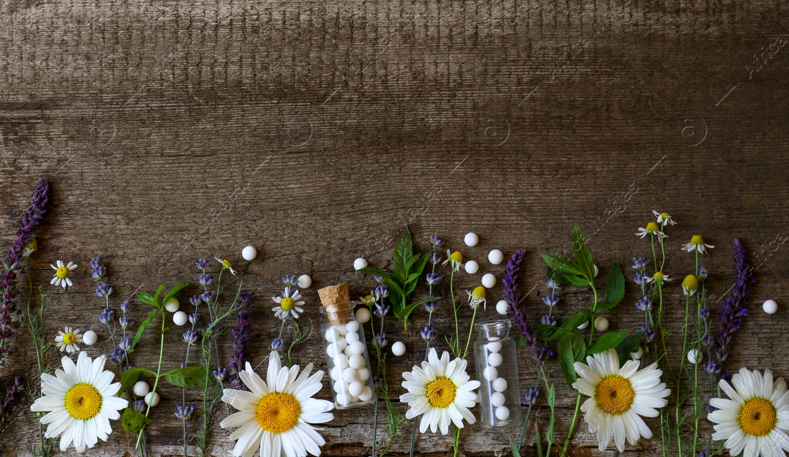 Photo of Bottles of homeopathic remedy and different plants on wooden background, flat lay. Space for text