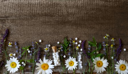 Photo of Bottles of homeopathic remedy and different plants on wooden background, flat lay. Space for text