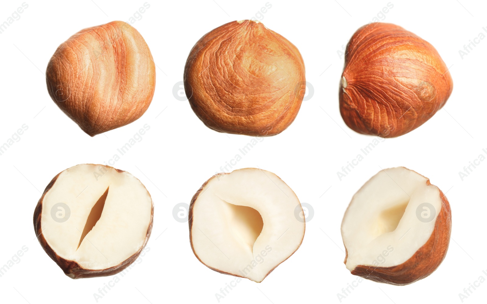 Image of Set with tasty hazelnuts on white background 