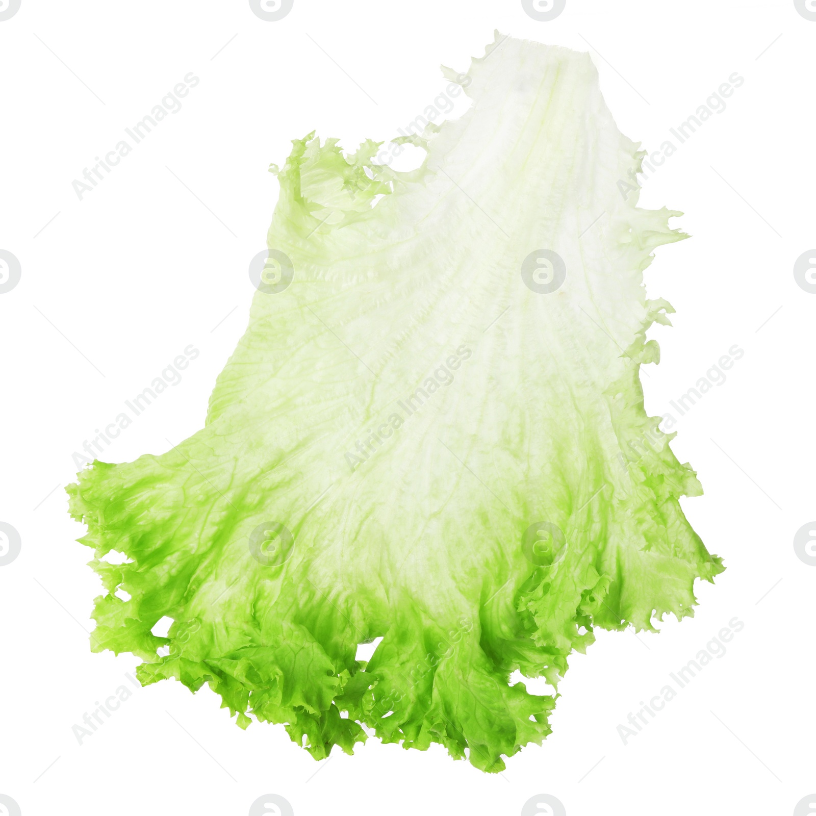 Photo of Fresh green lettuce leaf isolated on white