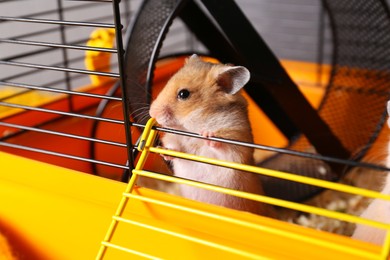 Photo of Cute little fluffy hamster inside of cage