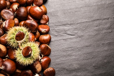 Fresh sweet edible chestnuts on black slate table, flat lay. Space for text