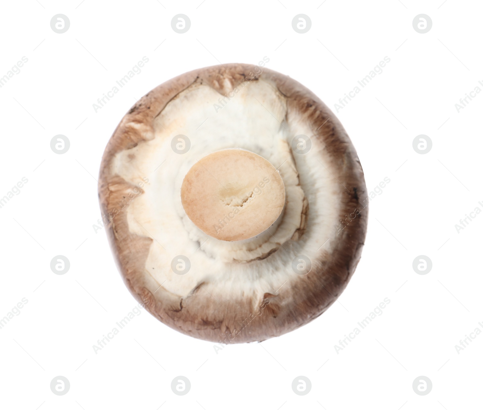 Photo of Fresh champignon mushroom isolated on white. Healthy food