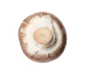 Fresh champignon mushroom isolated on white. Healthy food