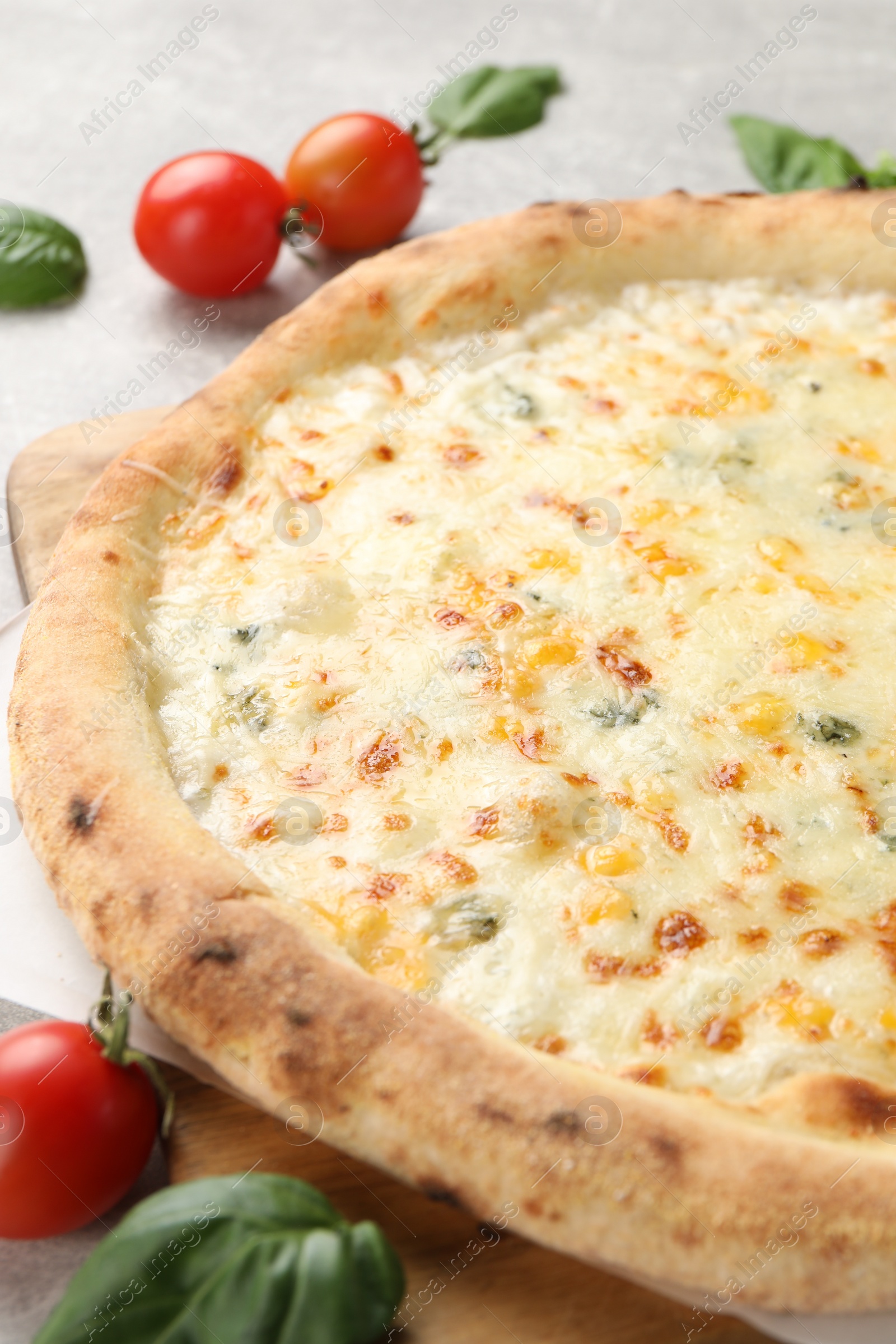 Photo of Delicious cheese pizza, basil and tomatoes on light grey table, closeup