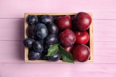 Delicious ripe plums in crate on pink wooden table, top view