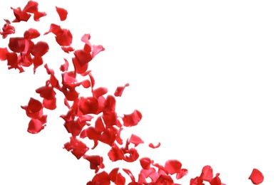 Photo of Red rose petals falling on white background