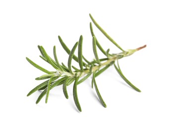 Photo of Sprig of fresh rosemary isolated on white