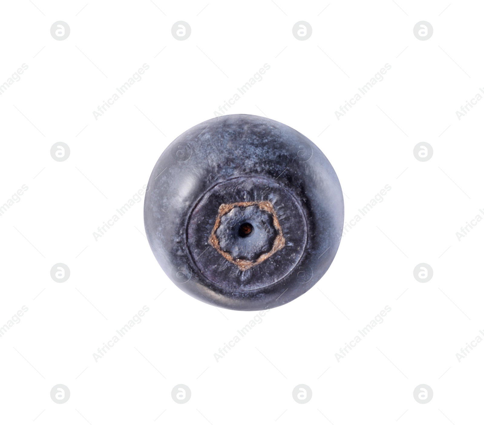 Photo of One tasty ripe bilberry isolated on white