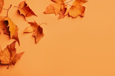 Dry autumn leaves on light orange background, flat lay. Space for text