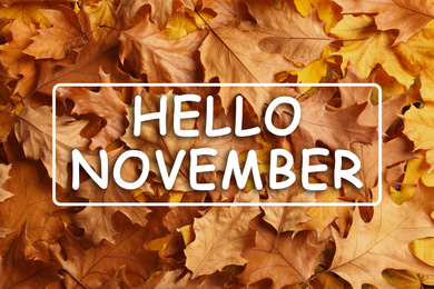 Image of Hello November card. Text over golden autumn leaves, top view 