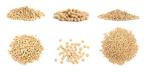Image of Set with soya beans on white background. Banner design 