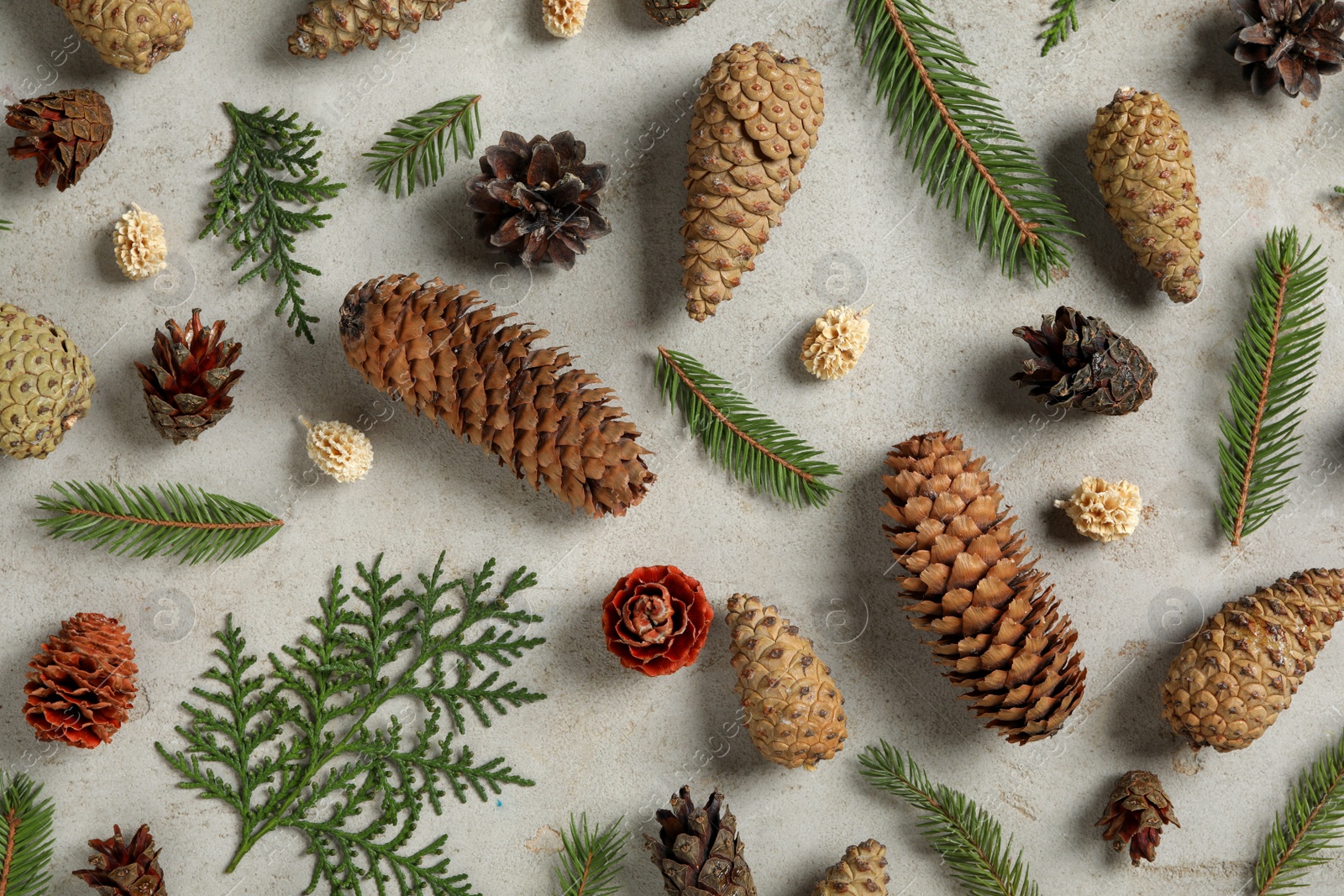 Photo of Flat lay composition with pinecones on light grey background