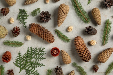 Flat lay composition with pinecones on light grey background