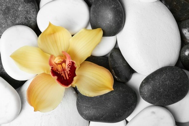 Photo of Beautiful orchid flower among different spa stones, top view. Space for text