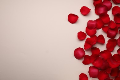 Photo of Beautiful red rose flower petals on beige background, flat lay. Space for text