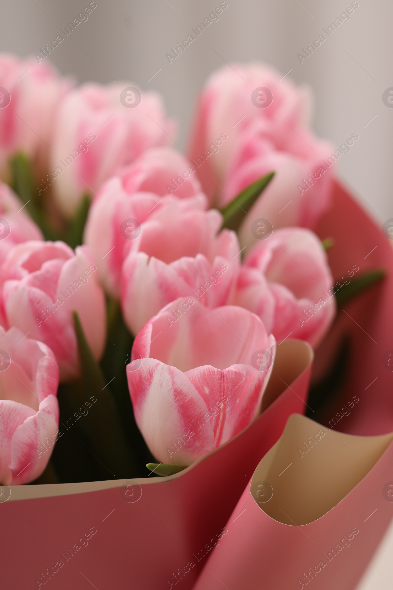 Photo of Beautiful bouquet of fresh pink tulips on blurred background, closeup