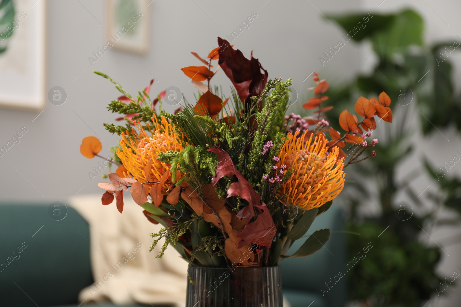 Photo of Vase with bouquet of beautiful flowers in living room, closeup