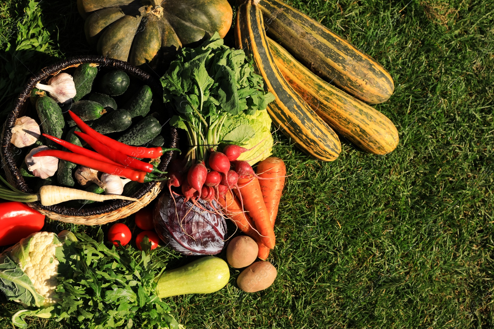 Photo of Different fresh ripe vegetables on green grass, flat lay