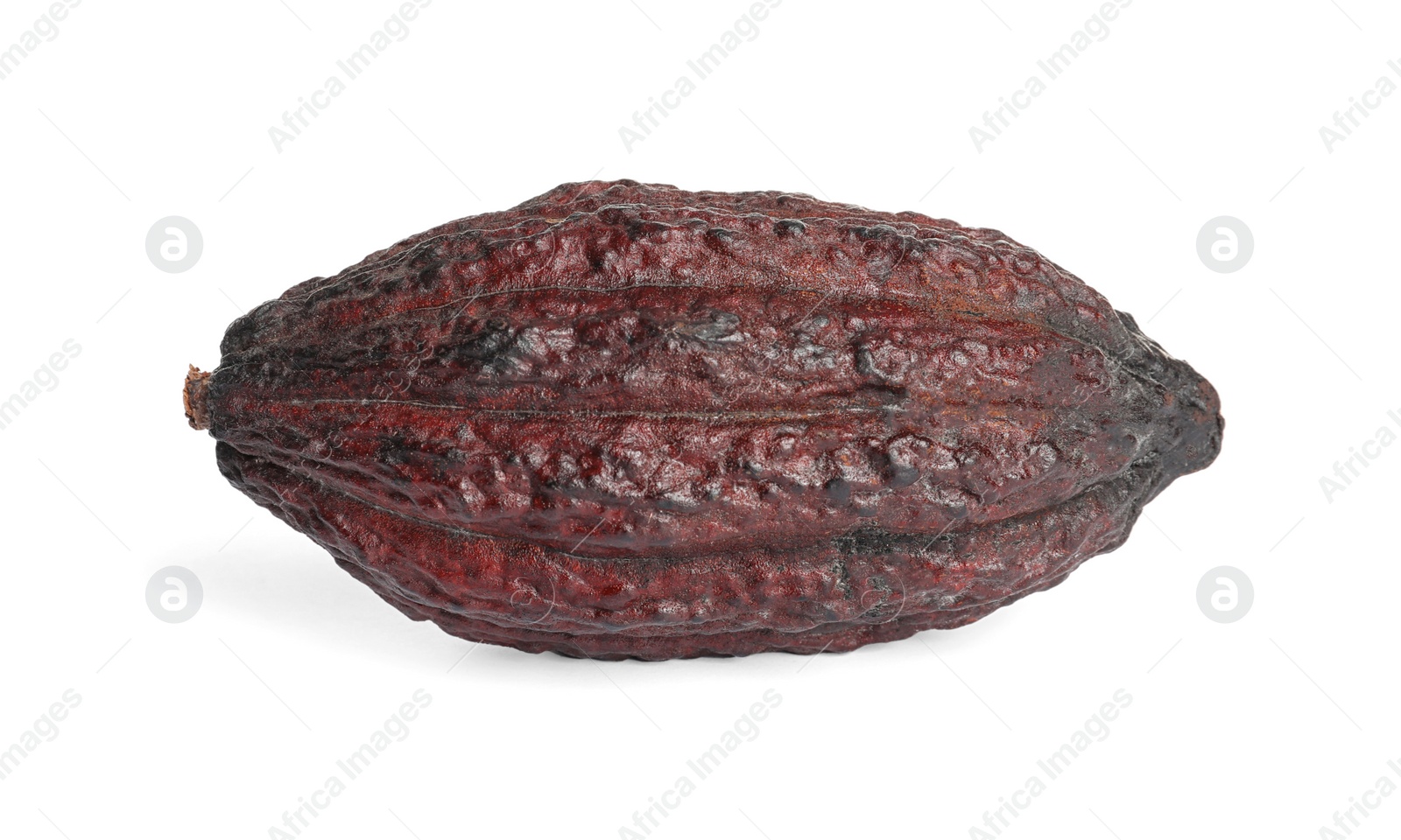 Photo of Whole tropical cocoa pod isolated on white