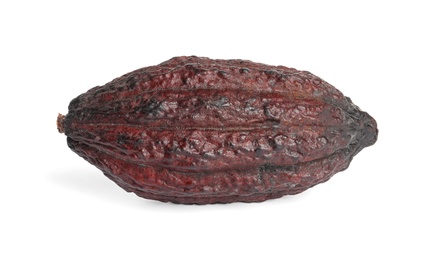 Photo of Whole tropical cocoa pod isolated on white