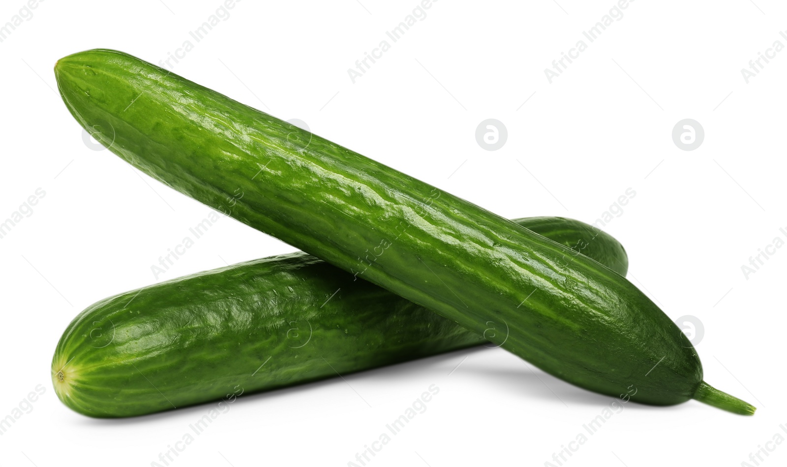 Photo of Two long fresh cucumbers isolated on white