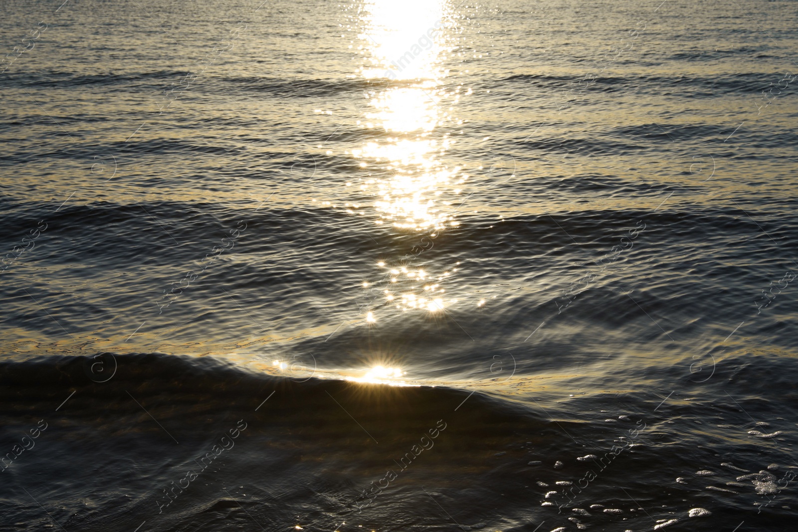 Rippled surface of sea at sunset as background Photo of Rippled surface of sea at sunset as background