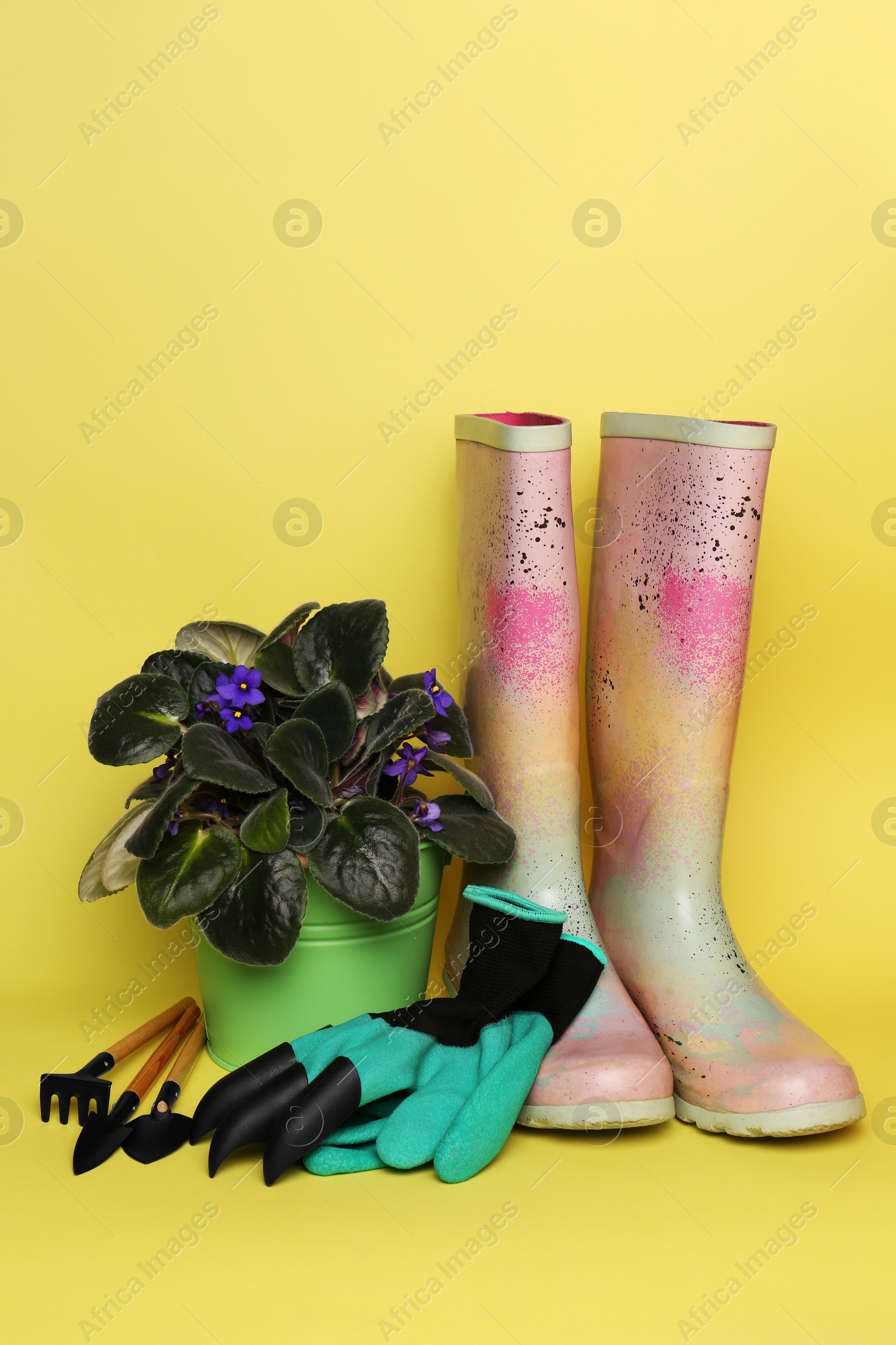 Photo of Gardening gloves, gumboots and tools near bucket with houseplant on yellow background