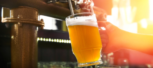 Bartender pouring beer from tap into glass in bar, closeup. Banner design