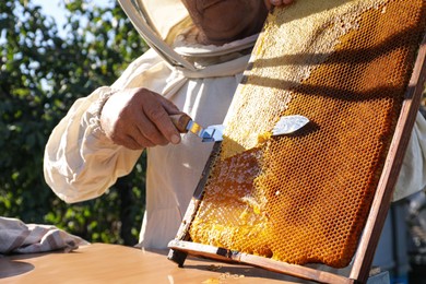 Photo of Senior beekeeper uncapping honeycomb frame with knife at table outdoors, closeup