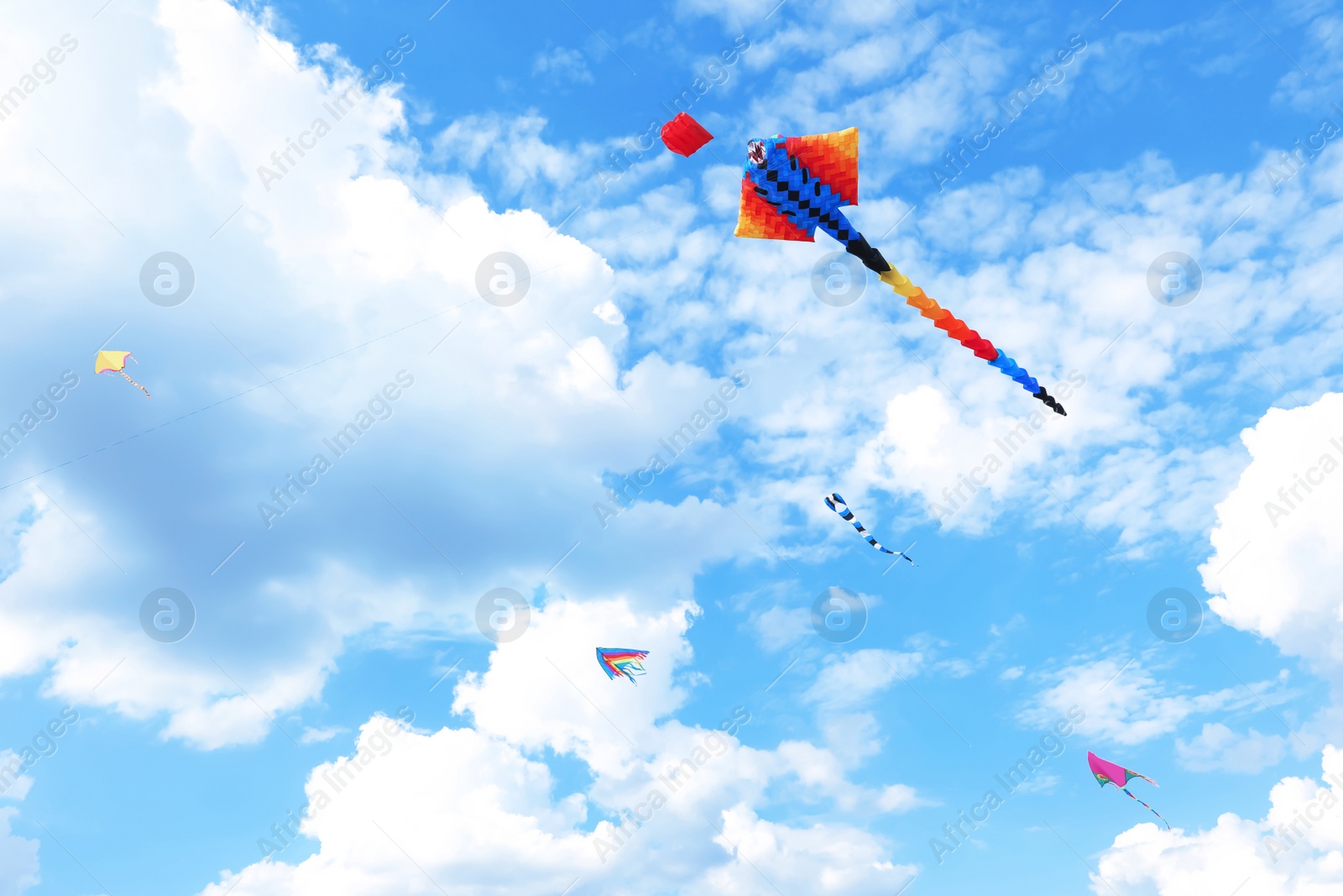 Photo of Beautiful kites drifting in blue sky