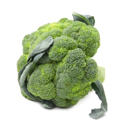 Photo of Fresh raw green broccoli isolated on white