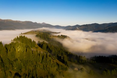Image of Beautiful landscape with thick mist and forest in mountains. Drone photography