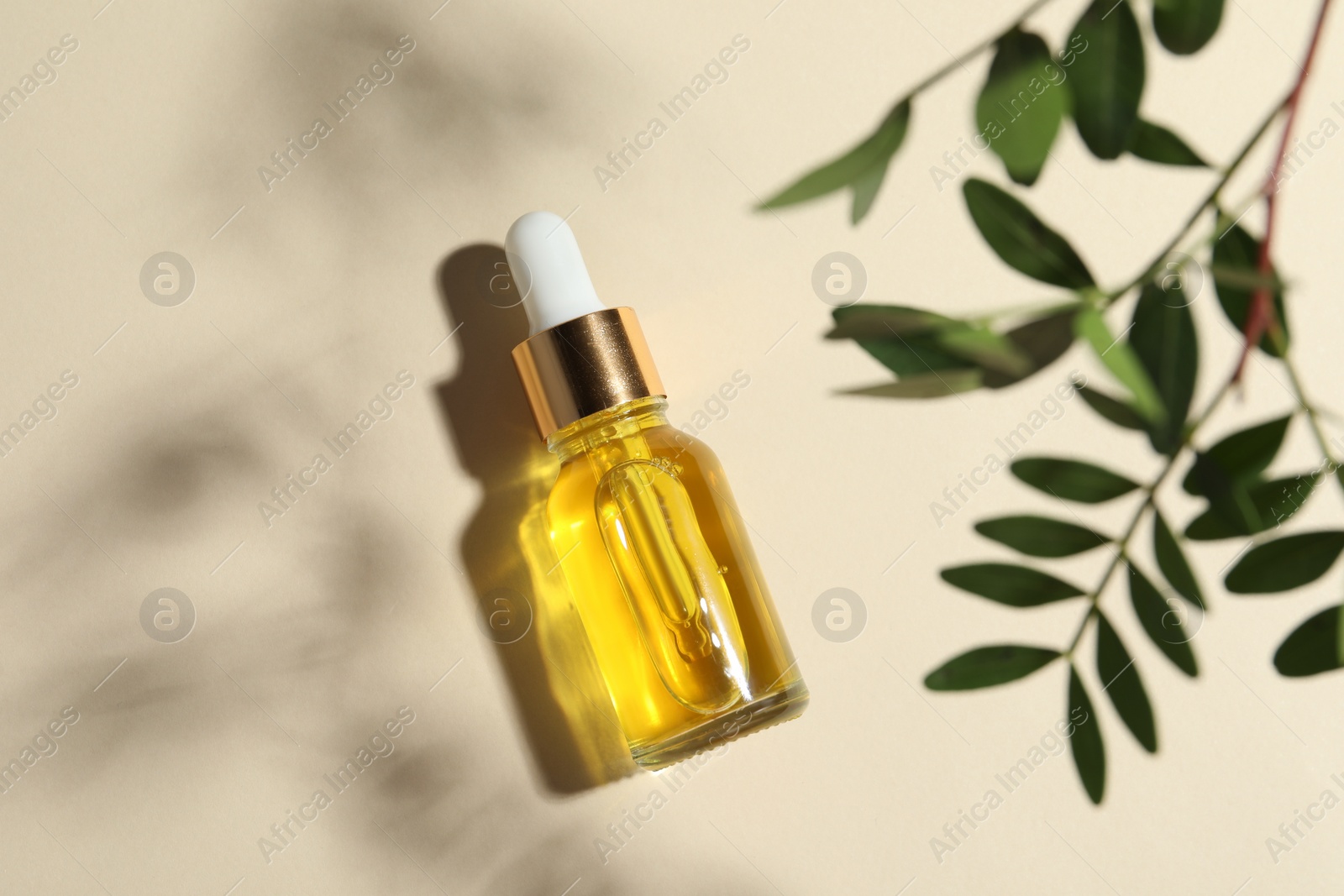 Photo of Bottle of cosmetic oil and leaves on beige background, top view