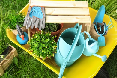 Composition with gardening tools on green grass, above view