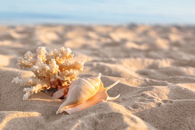 Photo of Sandy beach with beautiful coral and shell near sea on sunny summer day. Space for text