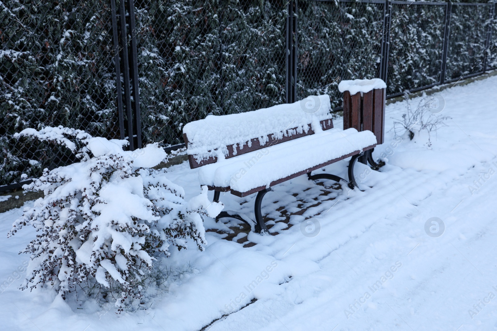 Photo of Trash bin and wooden bench covered with snow in morning park