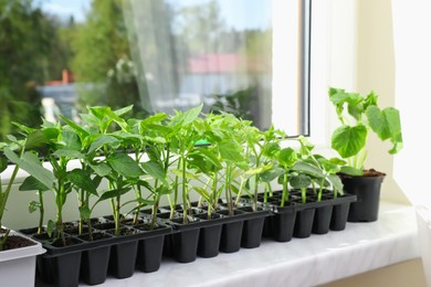 Photo of Seedlings growing in plastic containers with soil on windowsill indoors