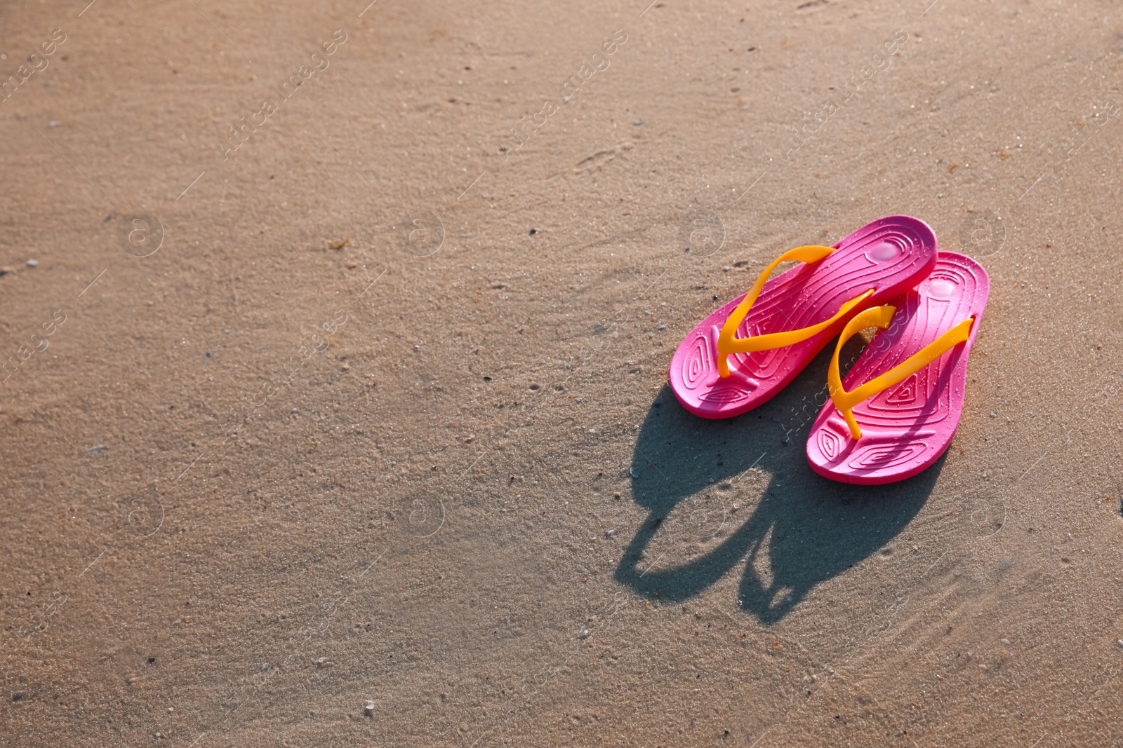 Photo of Stylish flip flops on beach. Space for text