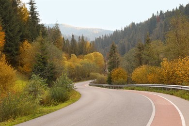Beautiful view of asphalt road and forest on autumn day