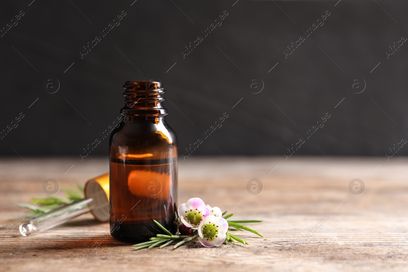 Photo of Bottle of natural tea tree oil and plant on table against dark background, space for text
