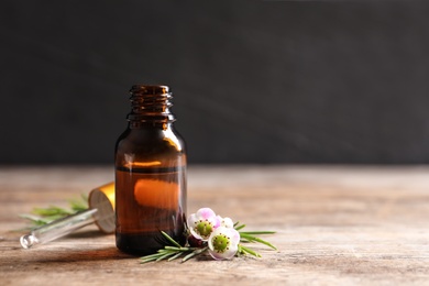 Bottle of natural tea tree oil and plant on table against dark background, space for text