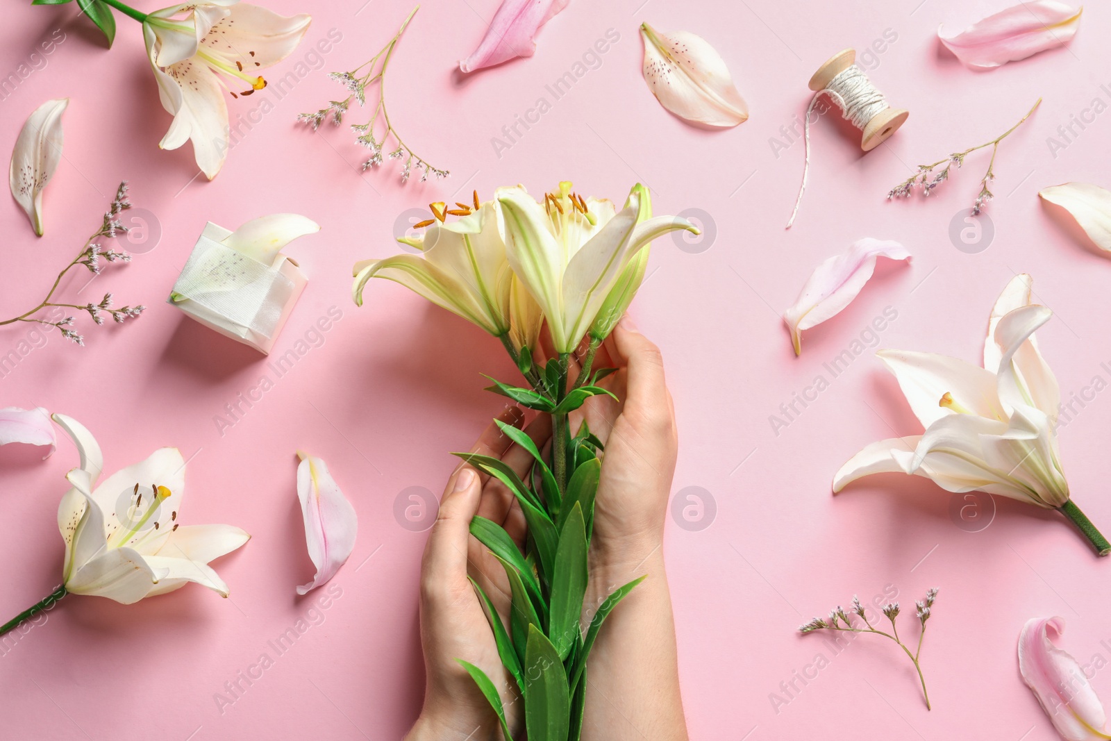 Photo of Woman with beautiful lily flowers on color background, top view