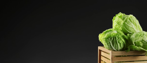 Image of Fresh ripe Chinese cabbages in wooden crate against black background, space for text. Banner design