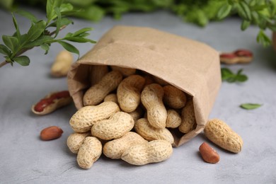 Paper bag with fresh unpeeled peanuts on grey table, closeup