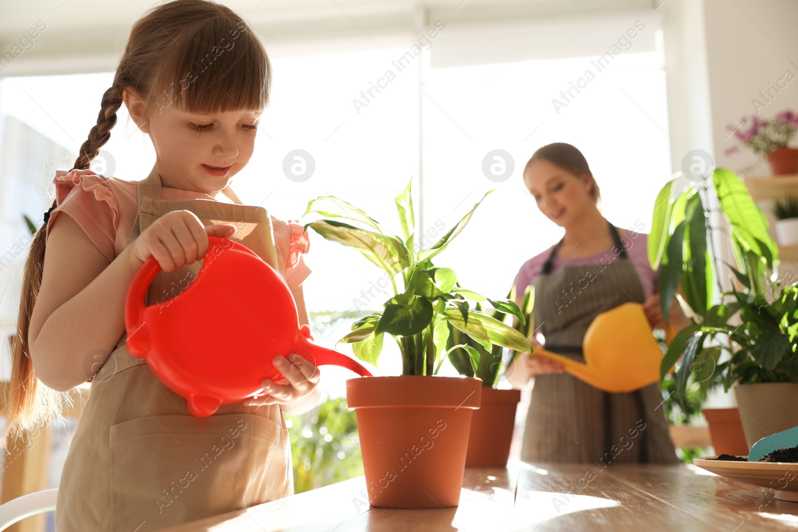 Photo of Mother and daughter watering home plants at wooden table indoors