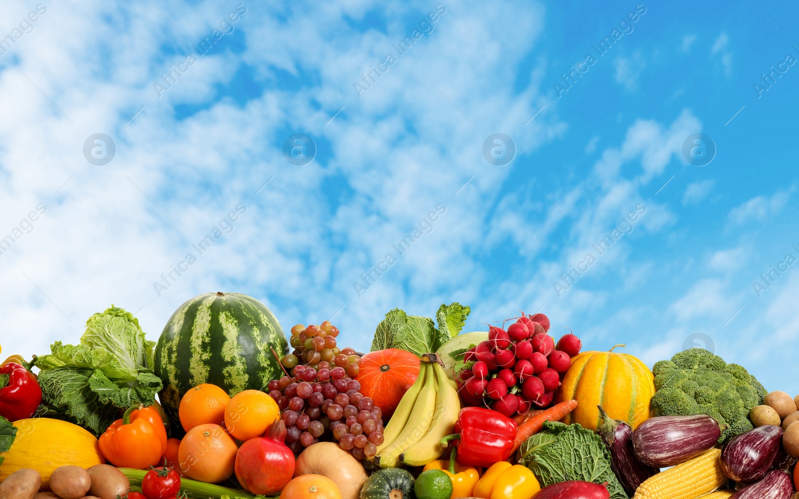 Image of Assortment of fresh organic fruits and vegetables outdoors